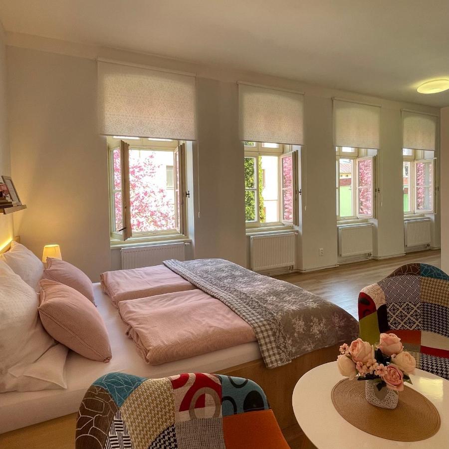 Apartmany Basta & Wellness Sušice المظهر الخارجي الصورة