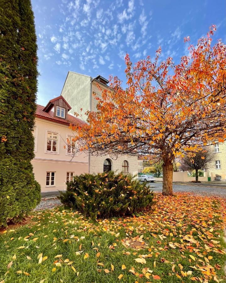 Apartmany Basta & Wellness Sušice المظهر الخارجي الصورة