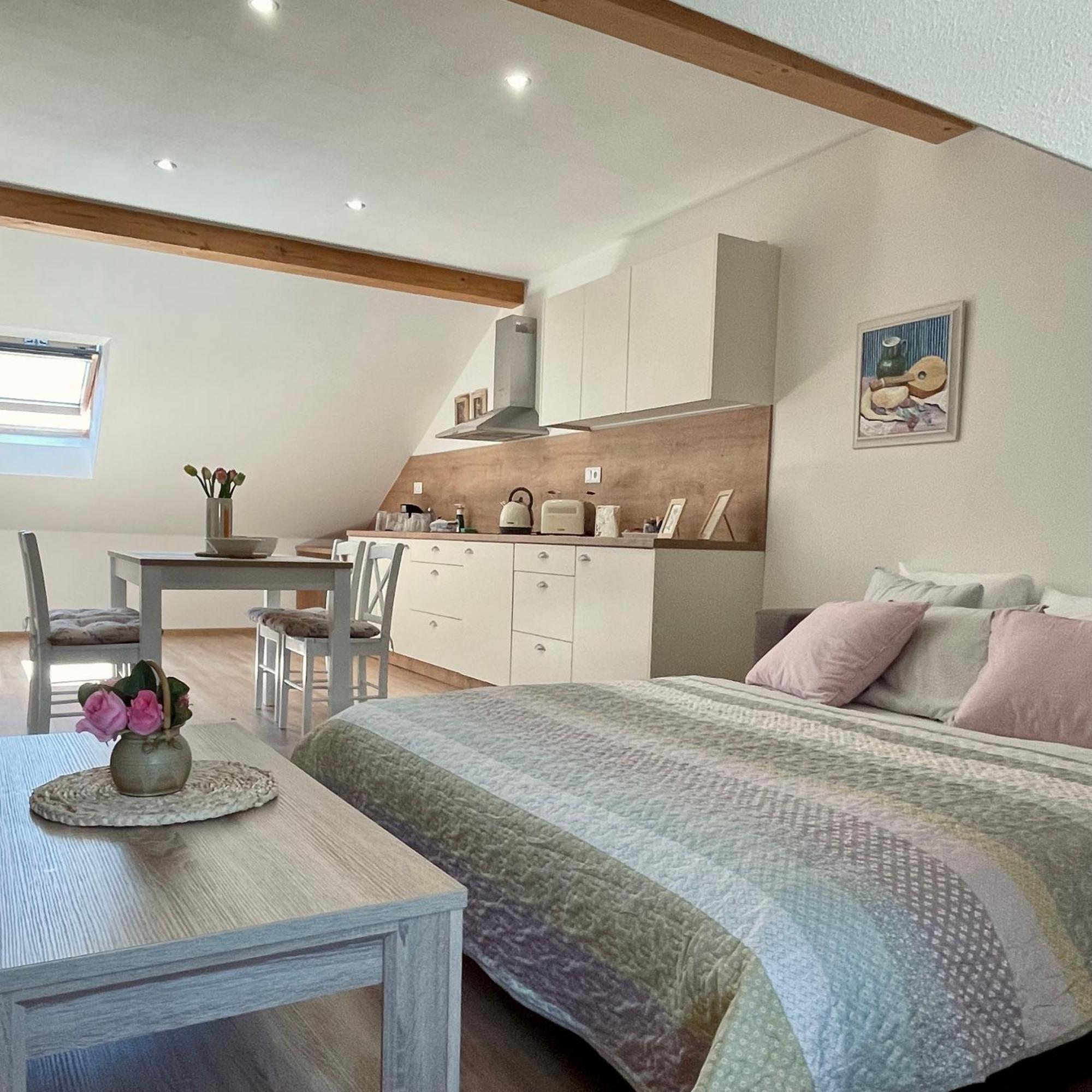 Apartmany Basta & Wellness Sušice المظهر الخارجي الصورة